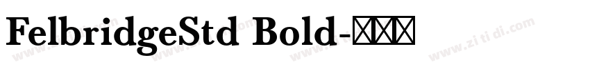 FelbridgeStd Bold字体转换 FelbridgeStd Bold字体转换
